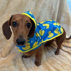 New Small Dog Rain Jacket